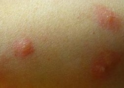 ������ݡ����